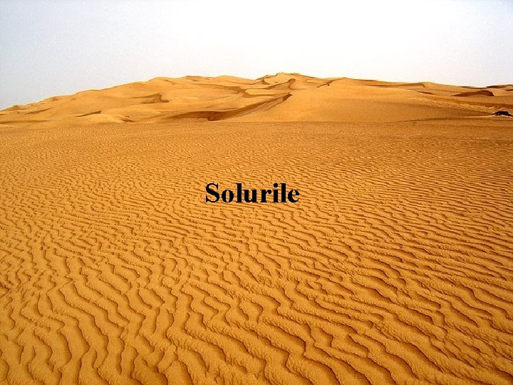 Solurile 
