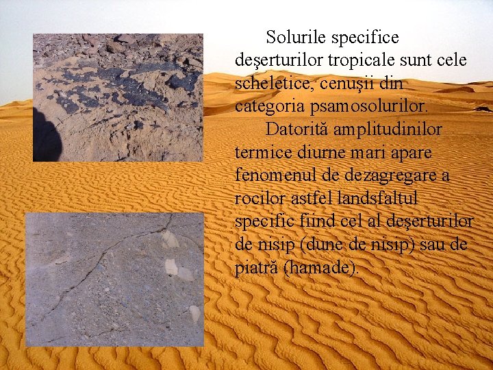 Solurile specifice deşerturilor tropicale sunt cele scheletice, cenuşii din categoria psamosolurilor. Datorită amplitudinilor termice