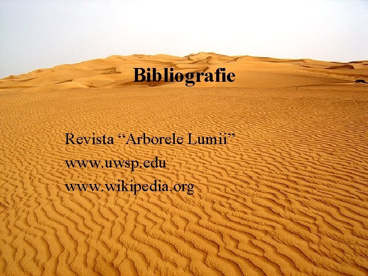 Bibliografie Revista “Arborele Lumii” www. uwsp. edu www. wikipedia. org 