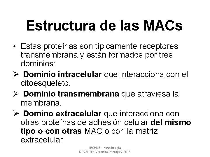 Estructura de las MACs • Estas proteínas son típicamente receptores transmembrana y están formados