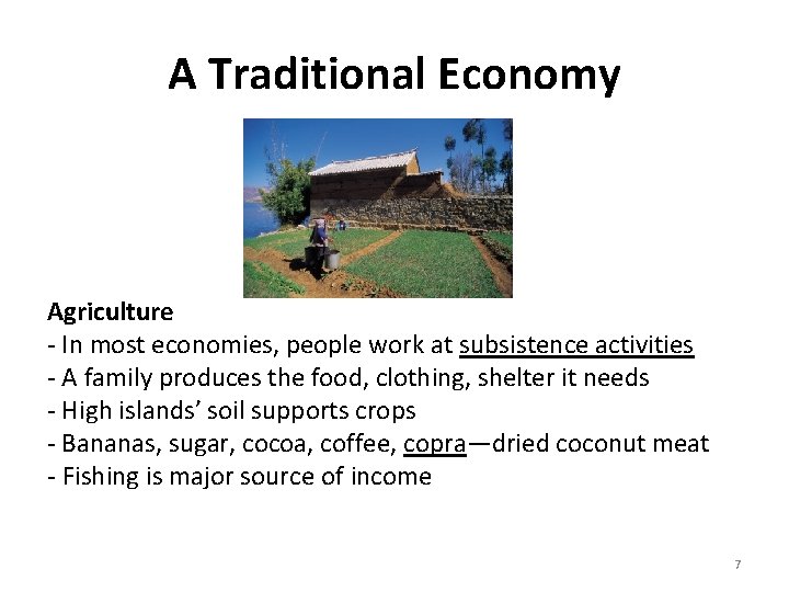 A Traditional Economy Agriculture - In most economies, people work at subsistence activities - A Traditional Economy Agriculture - In most economies, people work at subsistence activities -