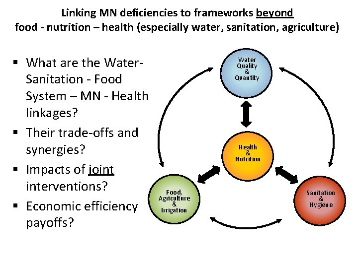 Linking MN deficiencies to frameworks beyond food - nutrition – health (especially water, sanitation, Linking MN deficiencies to frameworks beyond food - nutrition – health (especially water, sanitation,