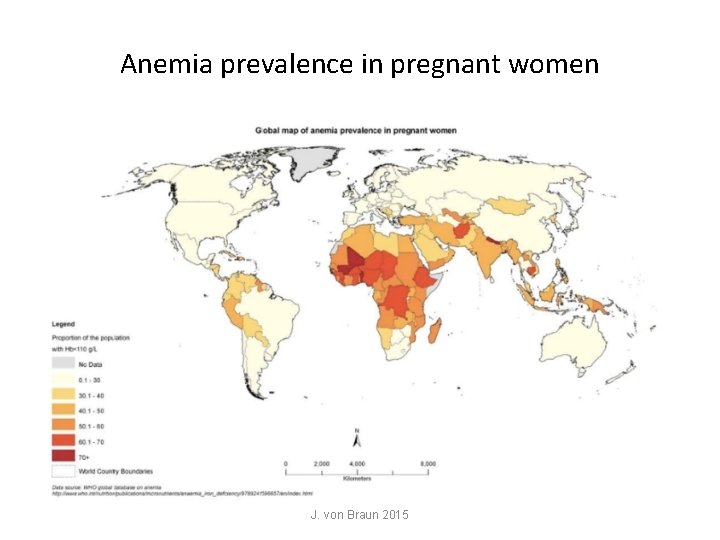 Anemia prevalence in pregnant women J. von Braun 2015 Anemia prevalence in pregnant women J. von Braun 2015