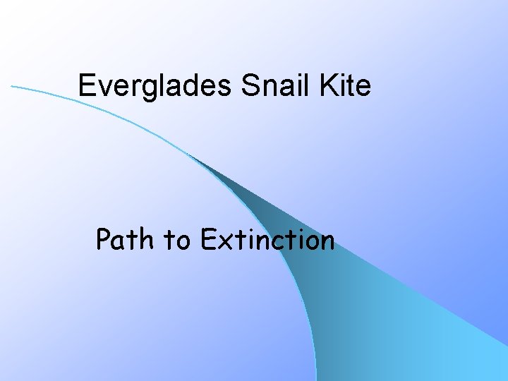 Everglades Snail Kite Path to Extinction 