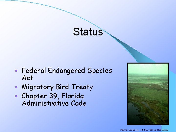 Status Federal Endangered Species Act § Migratory Bird Treaty § Chapter 39, Florida Administrative