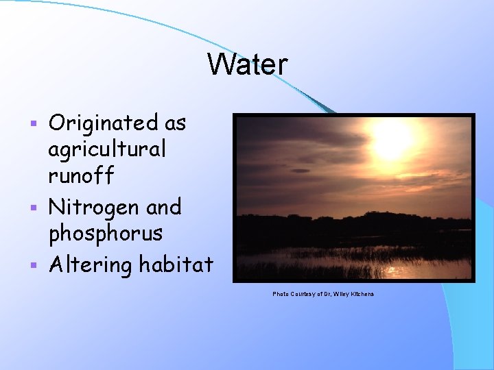 Water Originated as agricultural runoff § Nitrogen and phosphorus § Altering habitat § Photo