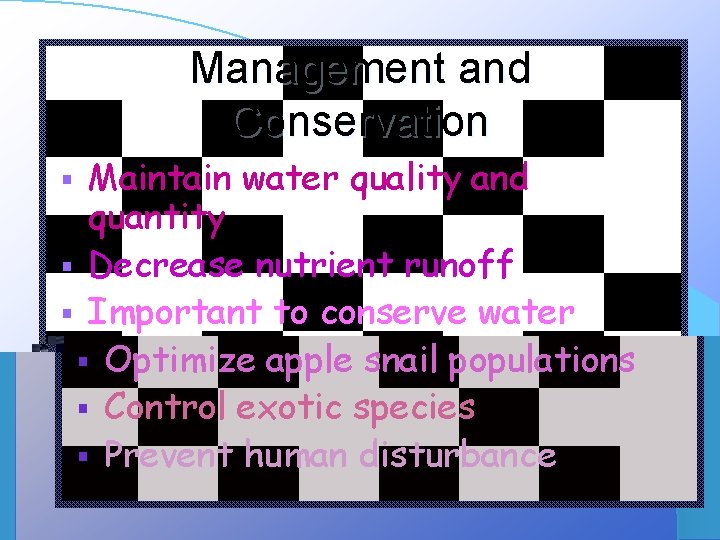 Management and Conservation § § § Maintain water quality and quantity Decrease nutrient runoff