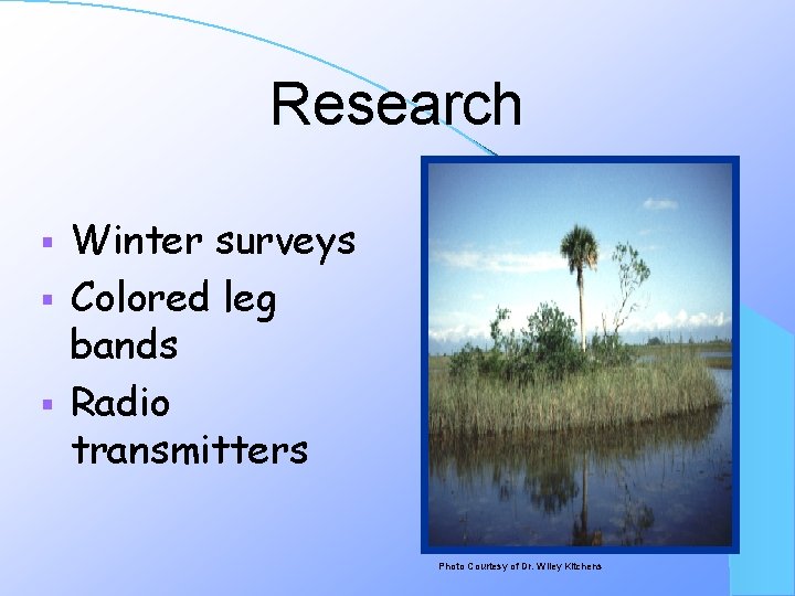 Research Winter surveys § Colored leg bands § Radio transmitters § Photo Courtesy of