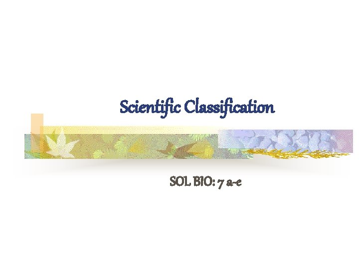 Scientific Classification SOL BIO: 7 a-e 