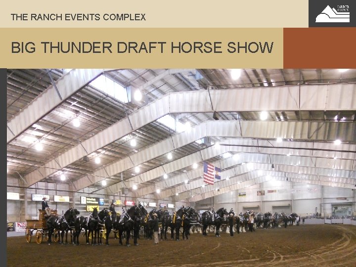 THE RANCH EVENTS COMPLEX BIG THUNDER DRAFT HORSE SHOW 