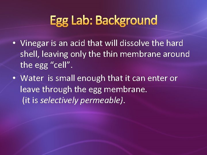 Egg Lab: Background • Vinegar is an acid that will dissolve the hard shell,