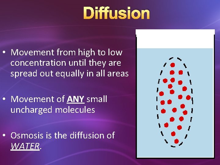 Diffusion • Movement from high to low concentration until they are spread out equally