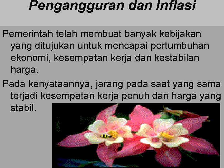 Pengangguran dan Inflasi Pemerintah telah membuat banyak kebijakan yang ditujukan untuk mencapai pertumbuhan ekonomi,