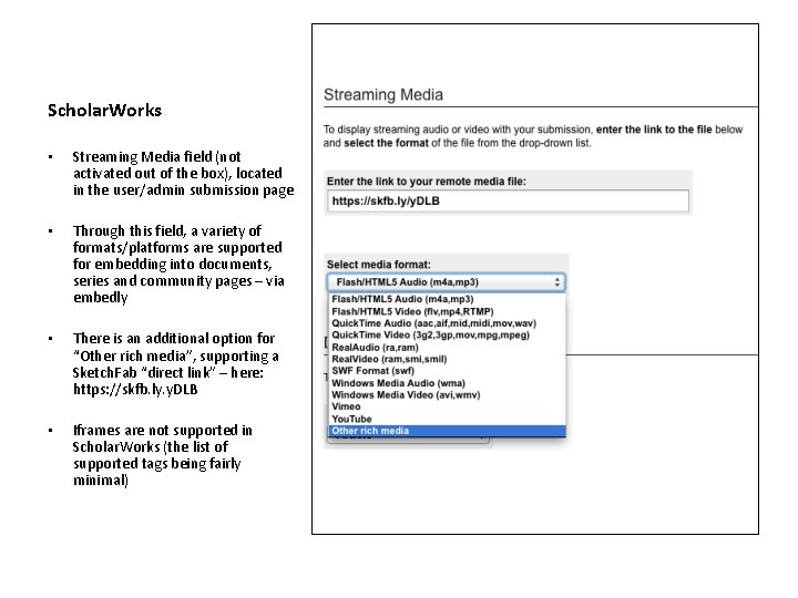 Scholar. Works • Streaming Media field (not activated out of the box), located in