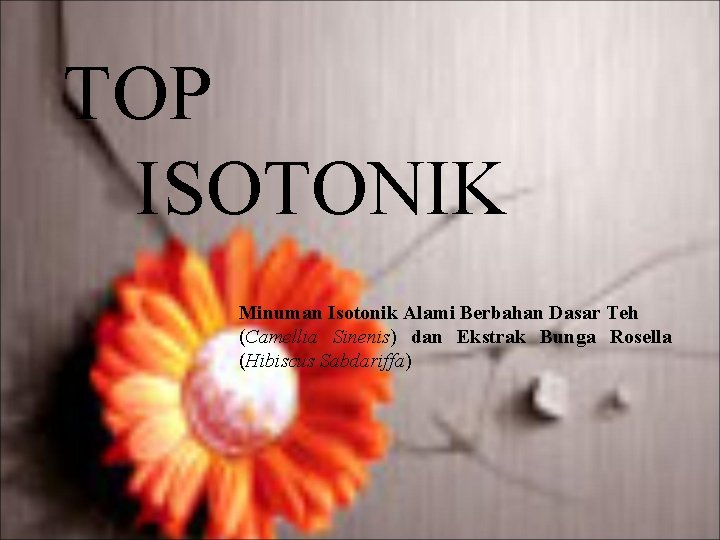 TOP ISOTONIK Minuman Isotonik Alami Berbahan Dasar Teh (Camellia Sinenis) dan Ekstrak Bunga Rosella