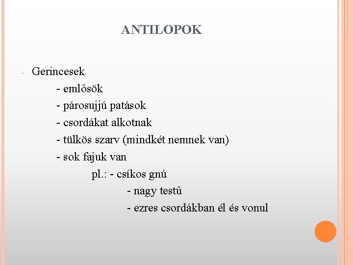 ANTILOPOK - Gerincesek - emlősök - párosujjú patások - csordákat alkotnak - tülkös szarv