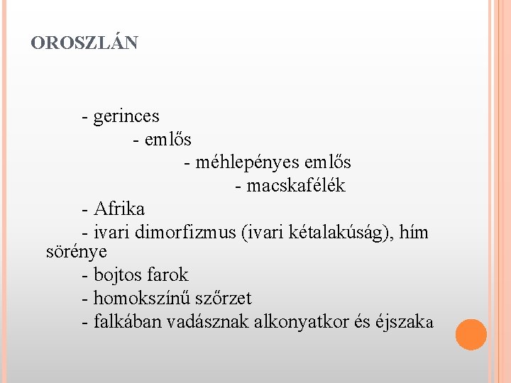 OROSZLÁN - gerinces - emlős - méhlepényes emlős - macskafélék - Afrika - ivari