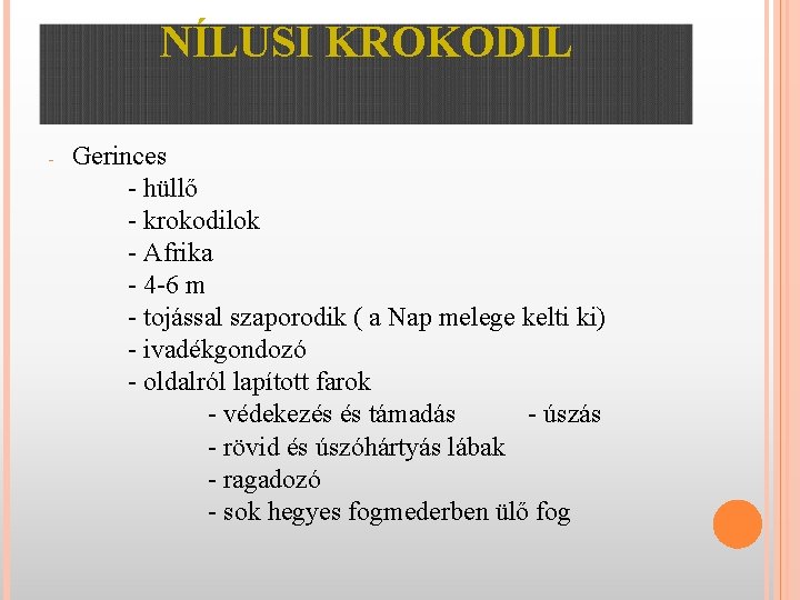 NÍLUSI KROKODIL - Gerinces - hüllő - krokodilok - Afrika - 4 -6 m