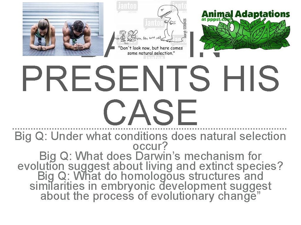 DARWIN PRESENTS HIS CASE Big Q: Under what conditions does natural selection occur? Big