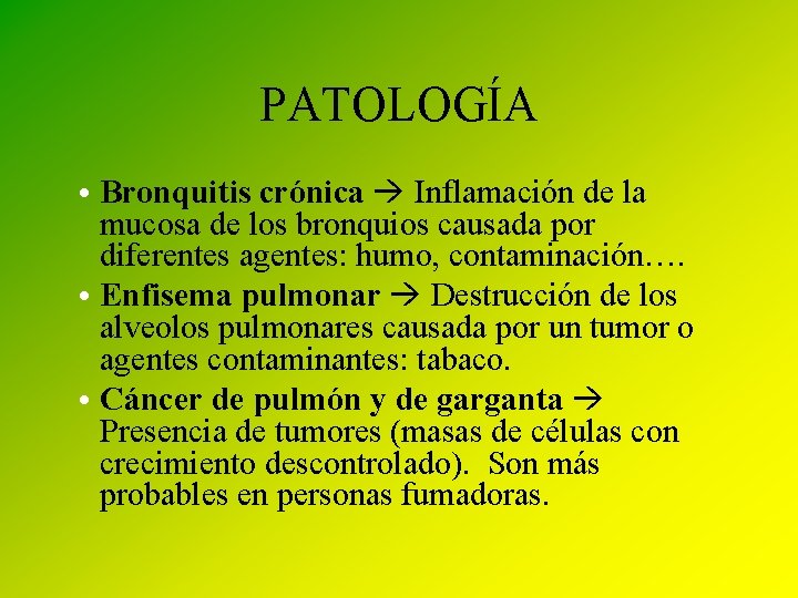 PATOLOGÍA • Bronquitis crónica Inflamación de la mucosa de los bronquios causada por diferentes