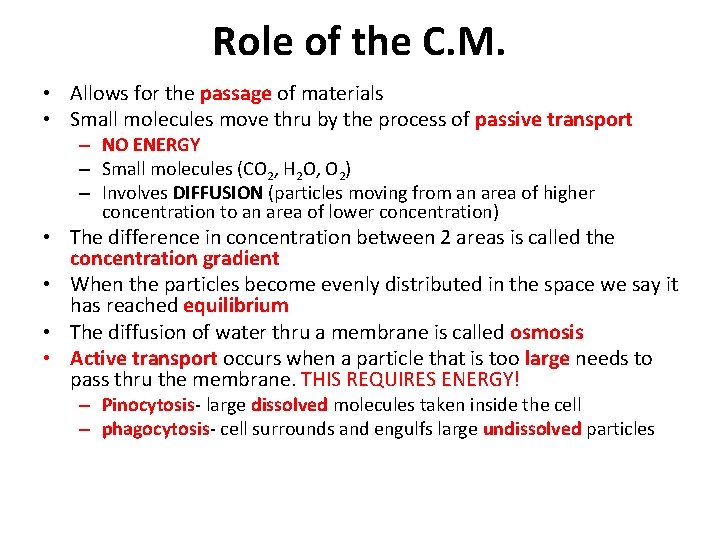 Role of the C. M. • Allows for the passage of materials • Small