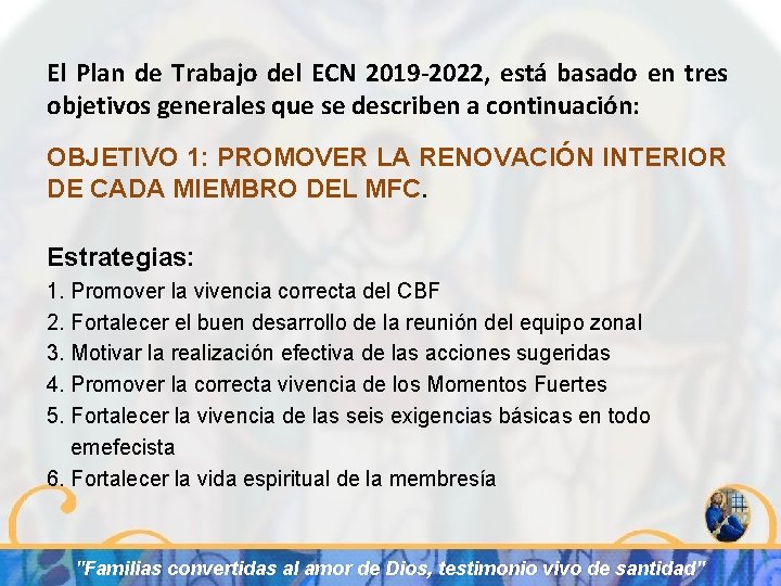 El Plan de Trabajo del ECN 2019 -2022, está basado en tres objetivos generales