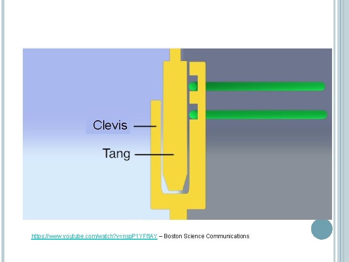 Clevis https: //www. youtube. com/watch? v=nsp. P 1 YFft. AY – Boston Science Communications Clevis https: //www. youtube. com/watch? v=nsp. P 1 YFft. AY – Boston Science Communications