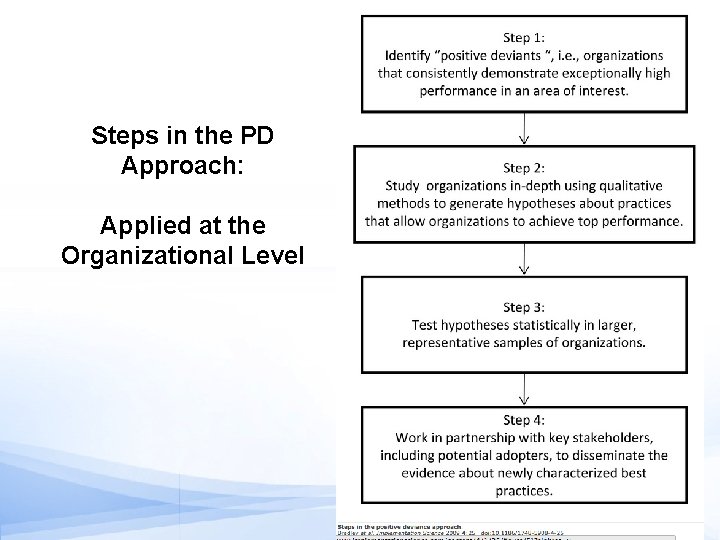 Steps in the PD Approach: Applied at the Organizational Level 