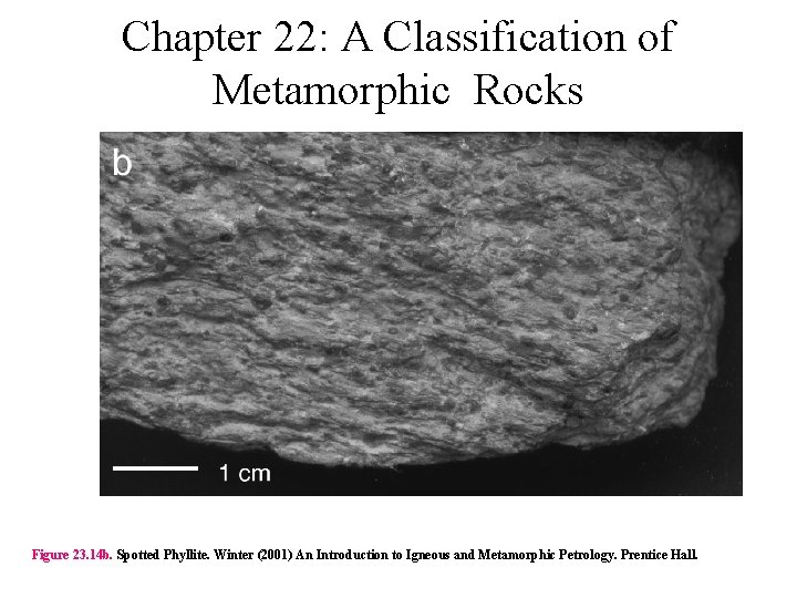Chapter 22: A Classification of Metamorphic Rocks Figure 23. 14 b. Spotted Phyllite. Winter