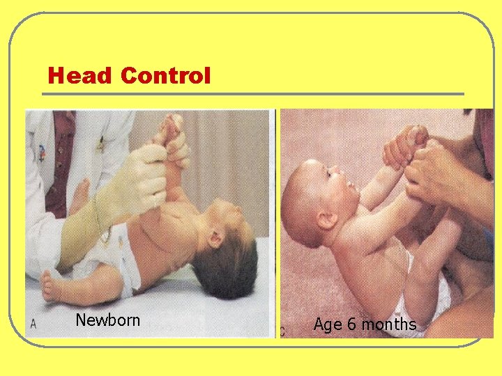 Head Control Newborn Age 6 months 