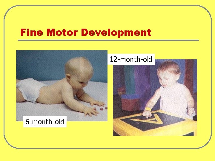 Fine Motor Development 12 -month-old 6 -month-old 