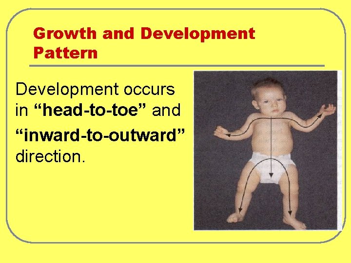 Growth and Development Pattern Development occurs in “head-to-toe” and “inward-to-outward” direction. 