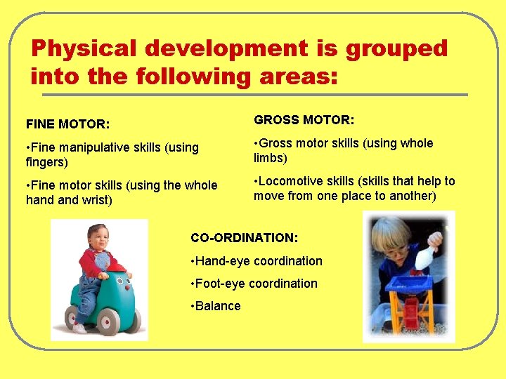 Physical development is grouped into the following areas: FINE MOTOR: GROSS MOTOR: • Fine