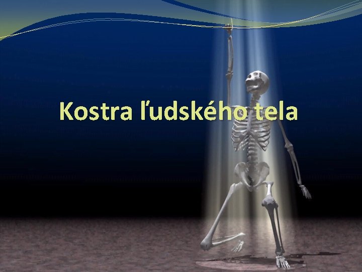 Kostra ľudského tela 
