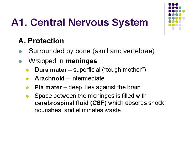 Systems Regulating Change in Humans The Nervous System