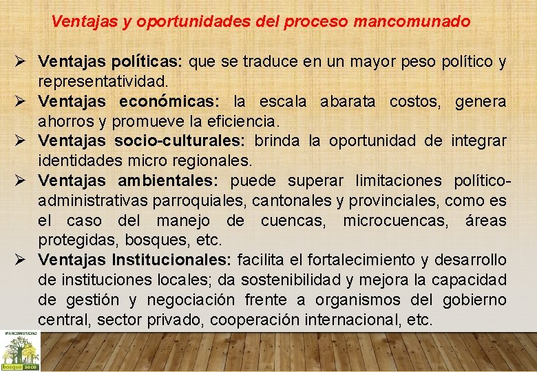 Ventajas y oportunidades del proceso mancomunado Ø Ventajas políticas: que se traduce en un