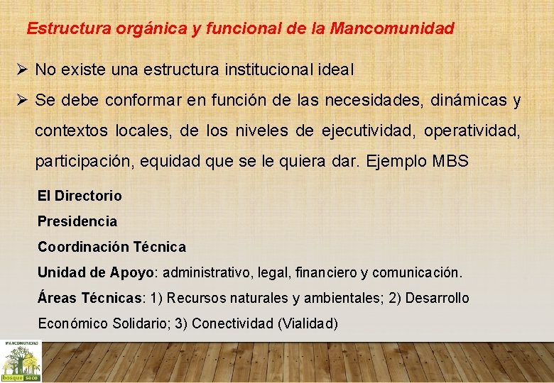 Estructura orgánica y funcional de la Mancomunidad Ø No existe una estructura institucional ideal