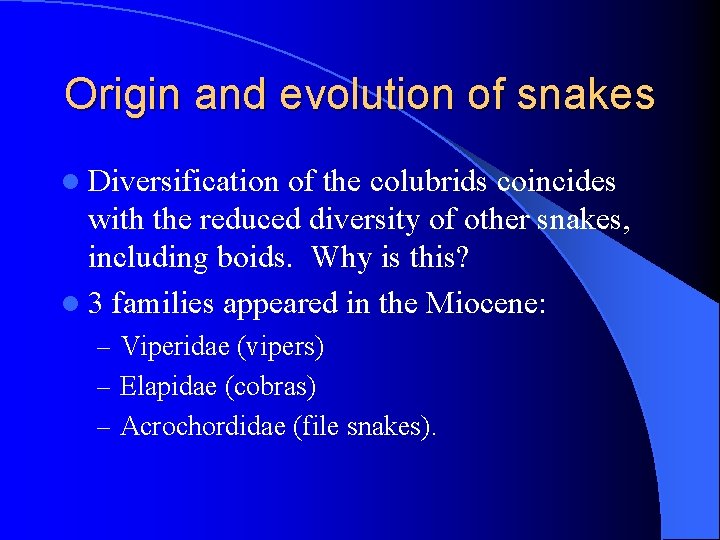 Origin and evolution of snakes l Diversification of the colubrids coincides with the reduced