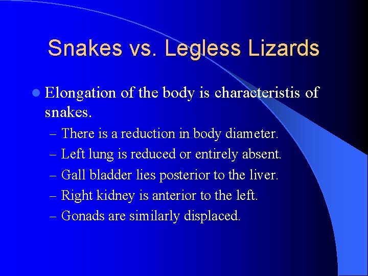 Snakes vs. Legless Lizards l Elongation of the body is characteristis of snakes. –