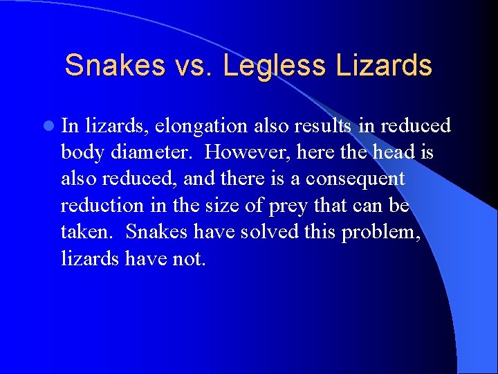 Snakes vs. Legless Lizards l In lizards, elongation also results in reduced body diameter.