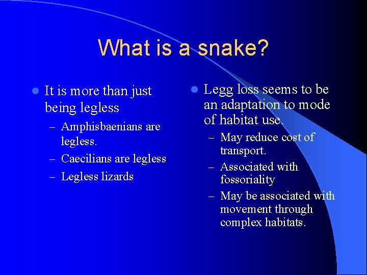 What is a snake? l It is more than just being legless – Amphisbaenians