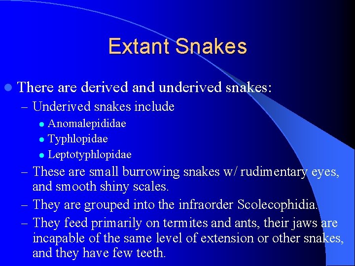 Extant Snakes l There are derived and underived – Underived snakes include snakes: Anomalepididae