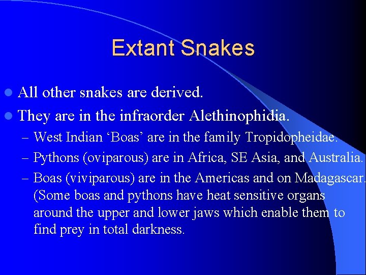 Extant Snakes l All other snakes are derived. l They are in the infraorder