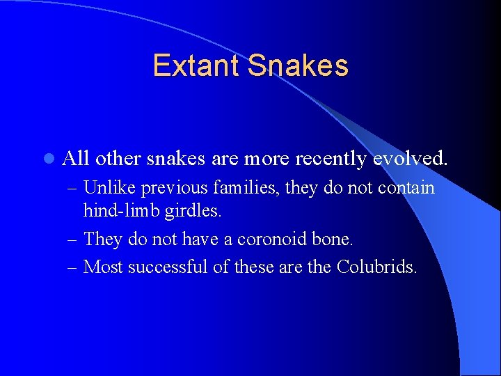 Extant Snakes l All other snakes are more recently evolved. – Unlike previous families,
