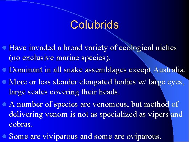 Colubrids l Have invaded a broad variety of ecological niches (no exclusive marine species).