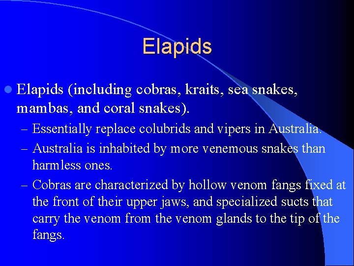 Elapids l Elapids (including cobras, kraits, sea snakes, mambas, and coral snakes). – Essentially