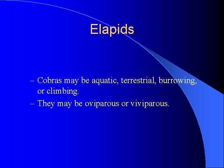 Elapids – Cobras may be aquatic, terrestrial, burrowing, or climbing. – They may be