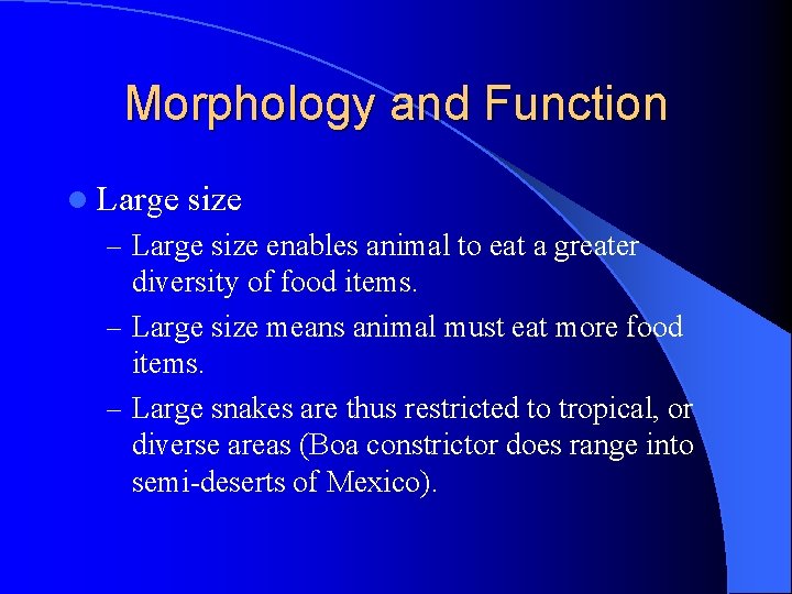 Morphology and Function l Large size – Large size enables animal to eat a