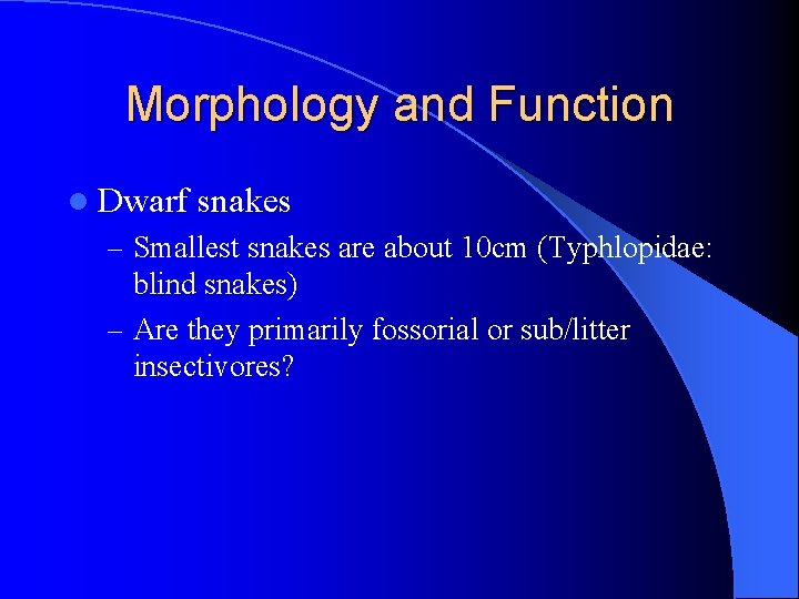 Morphology and Function l Dwarf snakes – Smallest snakes are about 10 cm (Typhlopidae: