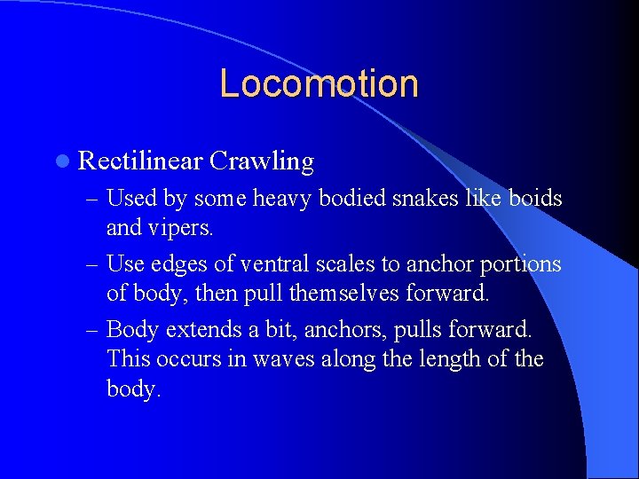 Locomotion l Rectilinear Crawling – Used by some heavy bodied snakes like boids and